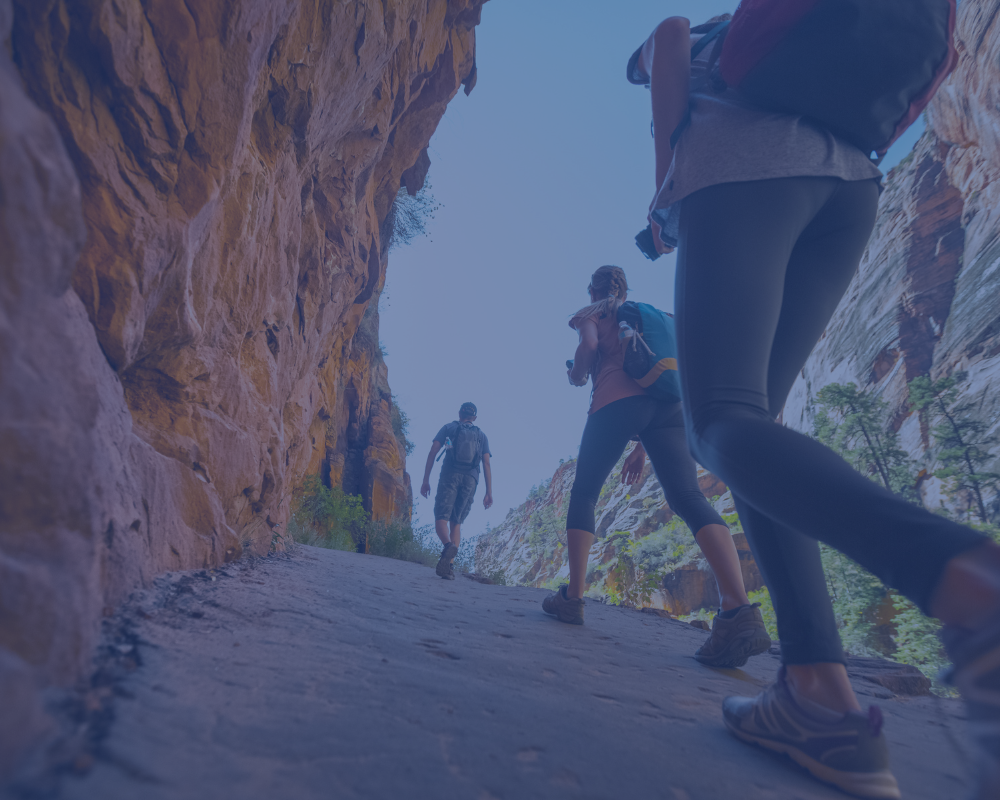 Service Page - Knee Replacement in Young Active Individuals Service Page Knee Replacement in Young Active Individuals